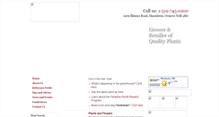Desktop Screenshot of colourparadise.com